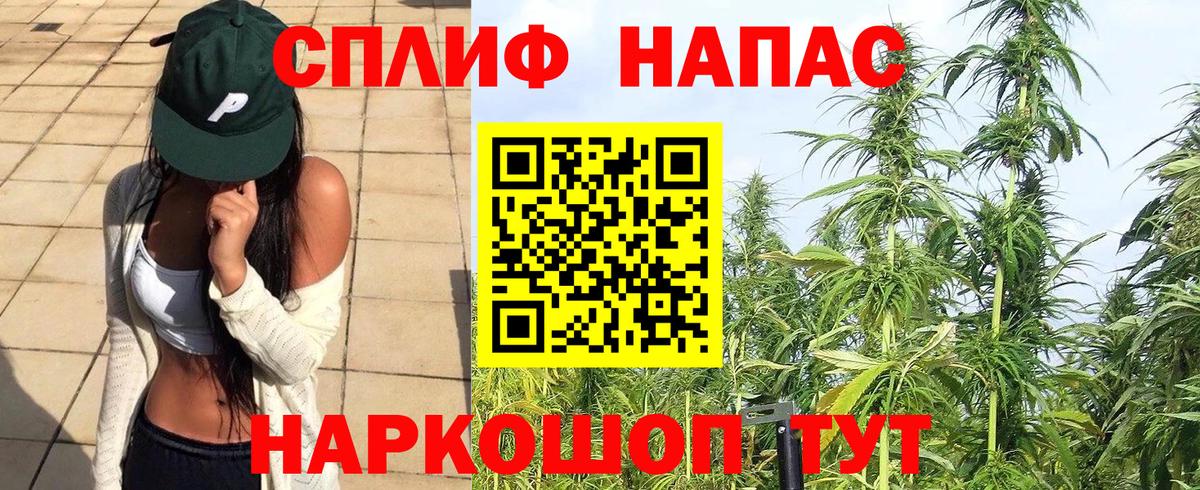 Бошки марихуана Amnesia  Шишки марихуана марихуана  Вход с VPN  Калач-на-Дону  Бошки Шишки планчик  МАРИХУАНА THC 21% 